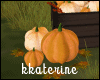 [kk] Fall  Pumpkins