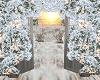 *Winter Frost Garden*
