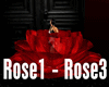 [HB] Trigger Rose