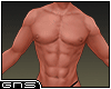 GNS - detailed torso