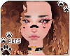 [Pets] Ginga | Beyonce