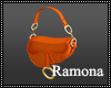 Orange Hand Bag