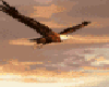 Small Ani Flying Eagle