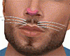 Easter Bunny Whiskers M