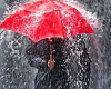 Rain Action
