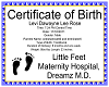 Levi's Birth Certificate