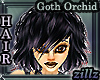 [zillz]Bethany Goth Orch