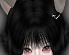 NNN.Kuro WolfCut