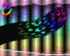 C; RainbowLeo Tail H M/F
