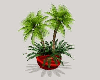 potted palms