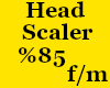 KC-Heand Scaler%85