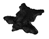 black bear skin rug