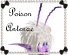 RS~Poison Antennae 