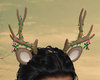 Antlers w/Lights