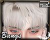 |RZ| Bangs_Blonde  V.3