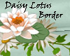 daisy and lotus border
