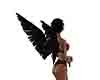 angel black wings