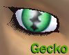 Green Gecko eyes