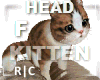 R|C Cat On Head F
