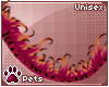 [Pets] Coralia | tail v3