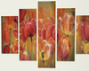 An Ode tulips  2