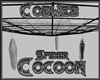 Spider Cocoon Cobweb