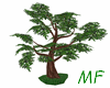 ~*MF Pine Tree