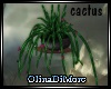 (OD) Cactus potplant