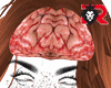 🦁 Brain/Cerebro F