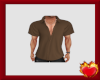 Brown Collar Shirt