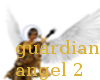 guardian agnel 2