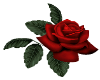Sticker Rosa Roja 