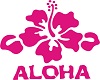 Aloha shorts