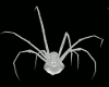 Diamond Attack Spider