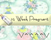 14 Weeks Pregnant (Y)