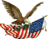 animated american flag