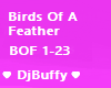 Birds Of A Feather BOF