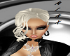 DENIRISE platinum grey