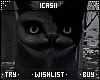 Black Cat Animation
