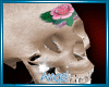 *AA* Skull Rose Poses