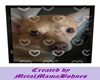 Custom pet Roscoe