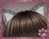 Kitten ears (grey)