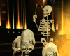 Skeleton kettle drums