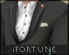 ⚜️ Alpha Grey Suit
