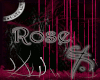 Rose Drapes