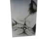 Z, Art 73