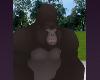 Kerchac Gorilla Apes Zoo Animals Halloween Costumes Monkey Funny