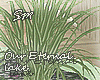 [SM]Our Eternal_Plants