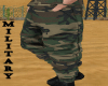llzM.. Soldier Pants