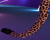 💎 Leopard Tail